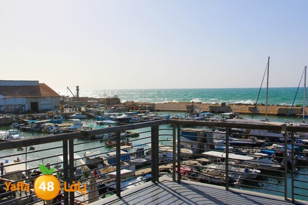 mina2 yaffaj343 (7).JPG